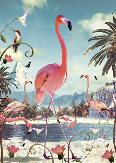 Standing Flamingo Greeting Card by Max Hernn